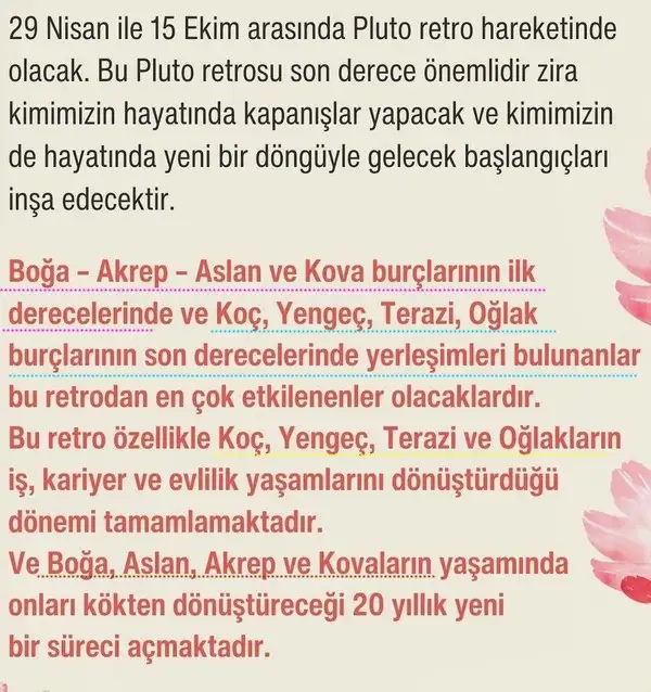 plu ret (2).webp