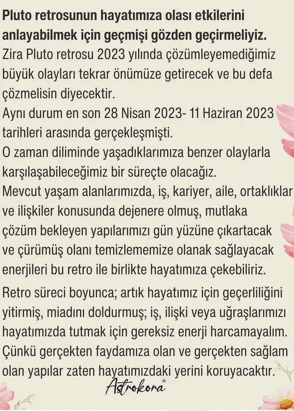 plu ret (3).webp