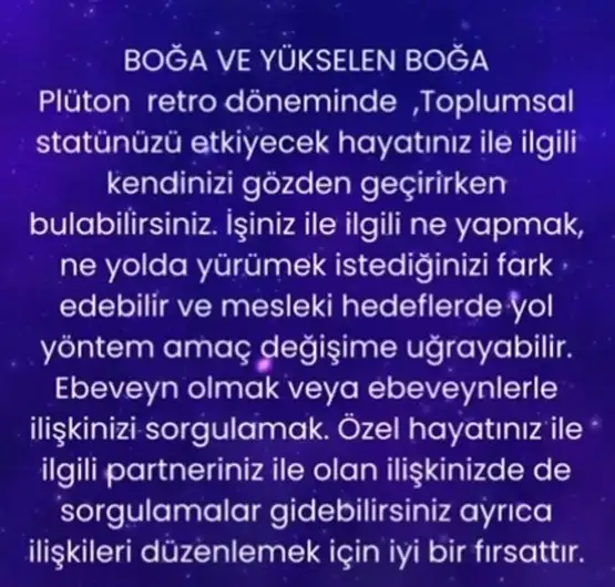 plu ret4 (2).webp