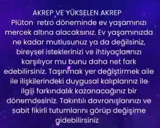 plu ret4 (5).webp