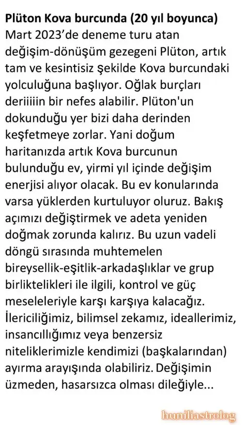 plu.webp