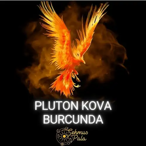 plut kov (1).webp
