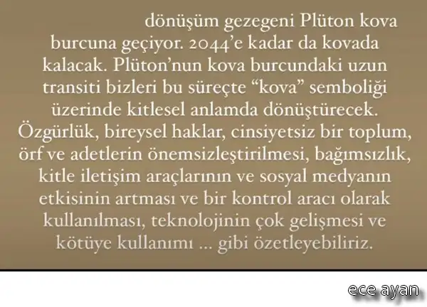 plüt kov.webp