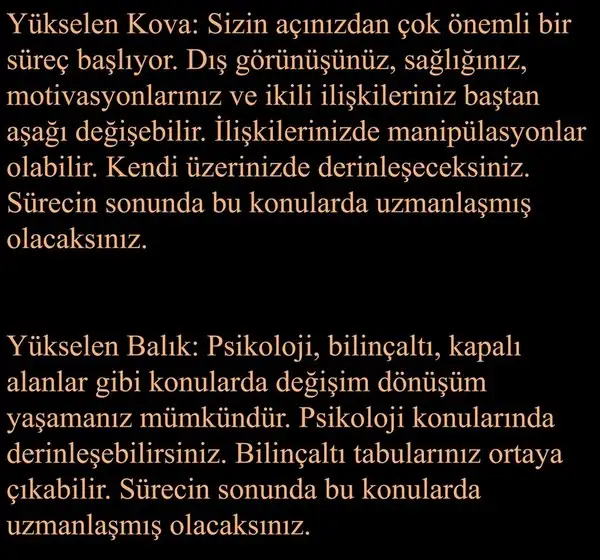 plüt kov1 (7).webp