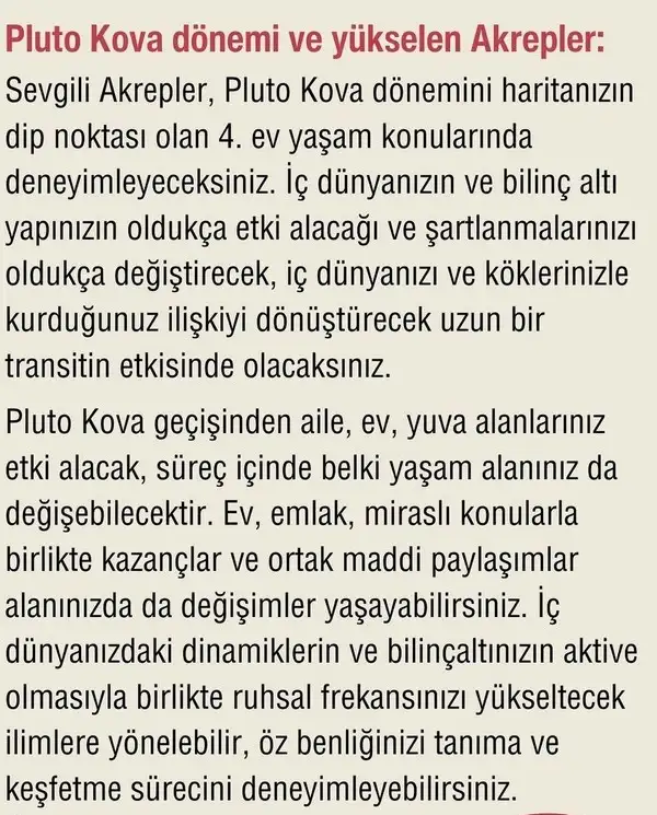 plüt kova1 (8).webp