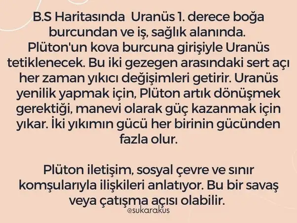 plüt kova3 (7).webp