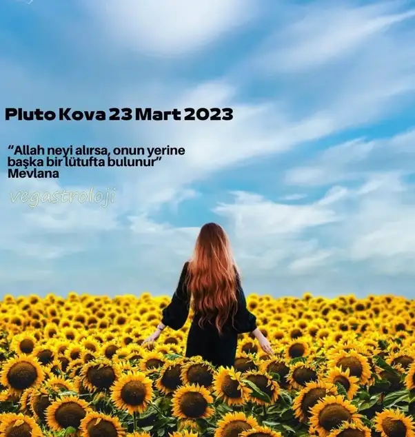 plüt kova5 (1).webp