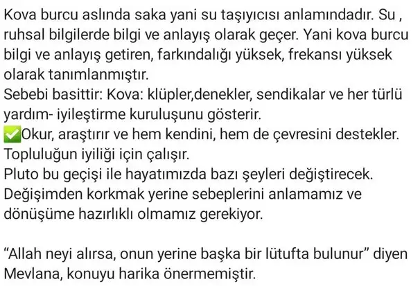 plüt kova5 (2).webp