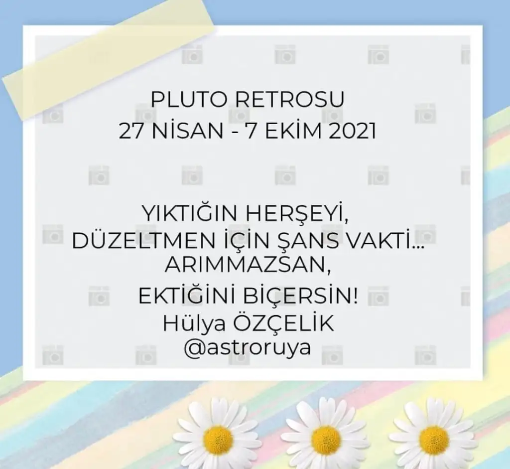 plut-min.webp