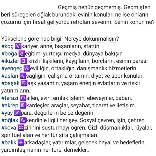 plüt ret5 (2).webp