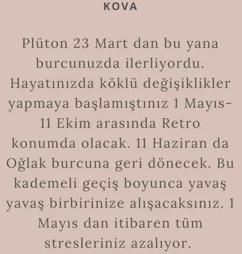 plut retro1 (13).webp
