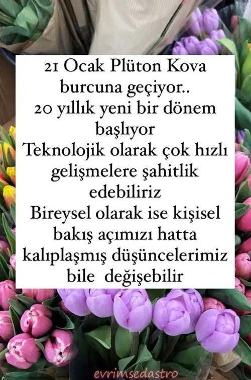 plut.webp