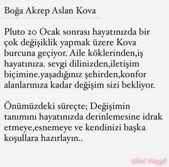 plut0.webp