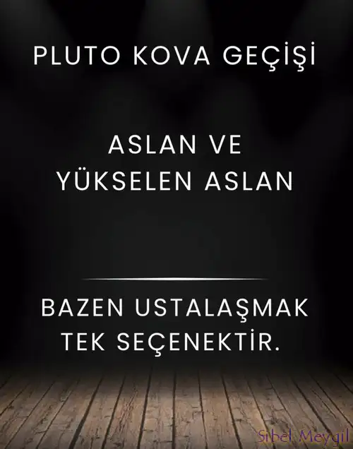 plüt00 (13).webp