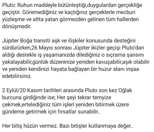 plüt00 (23).webp