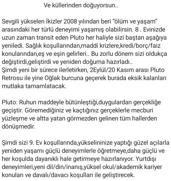 plüt00 (8).webp
