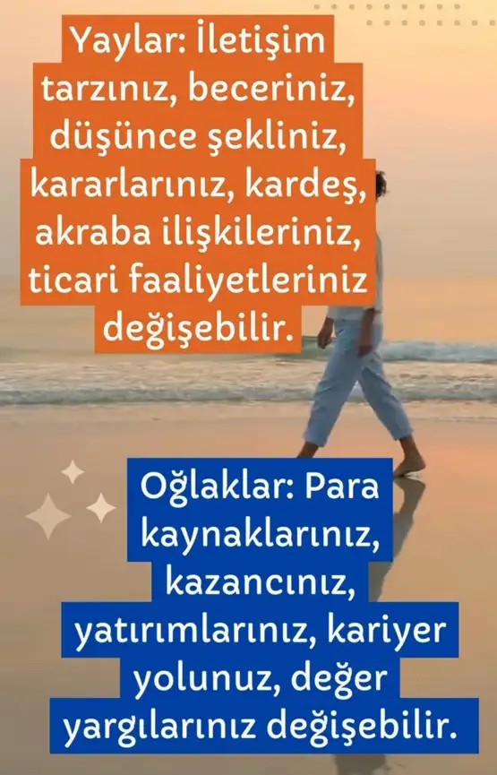 plüt2 (7).webp