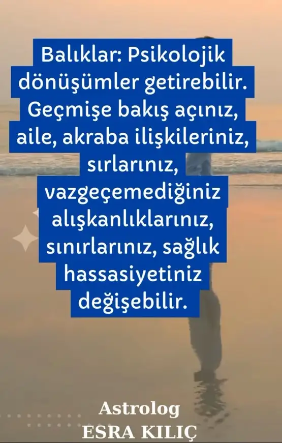 plüt2 (9).webp