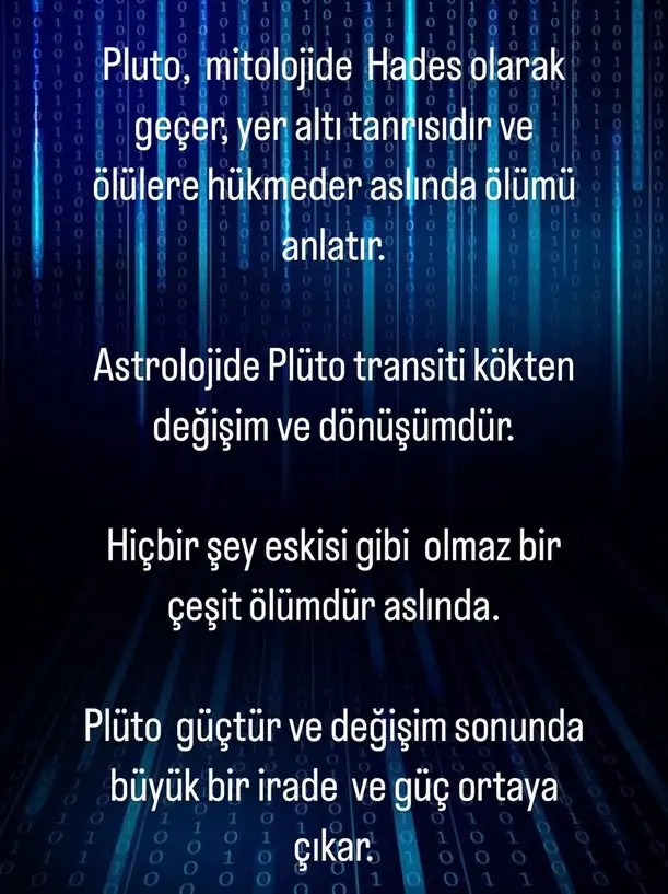 plüt5 (2).webp