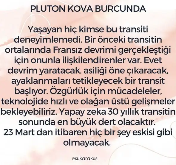 plutkov5.webp