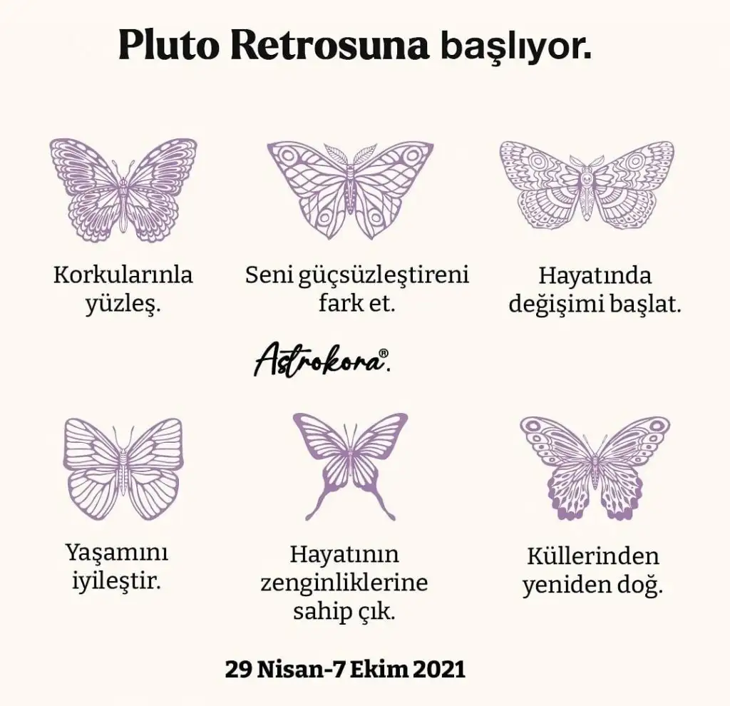 pluto-min.webp