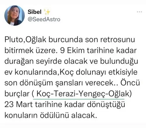 pluto og ret (1).webp