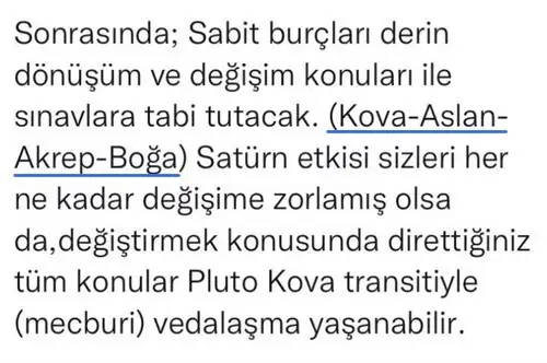 pluto og ret (2).webp