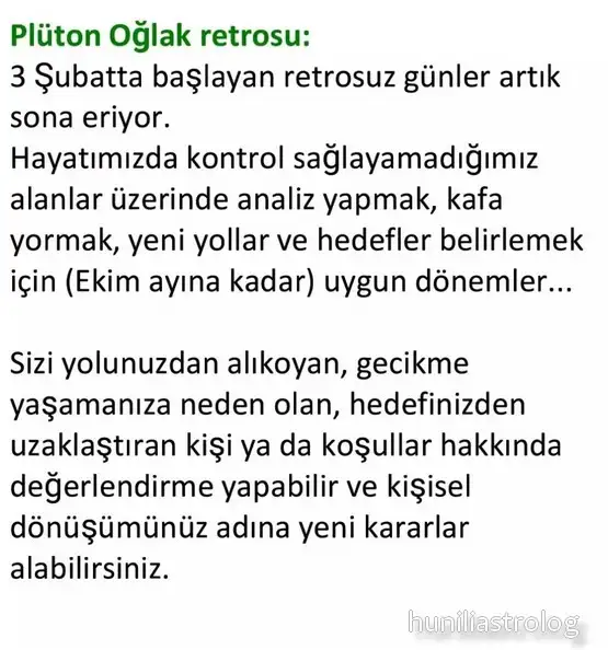 pluton oglak.webp