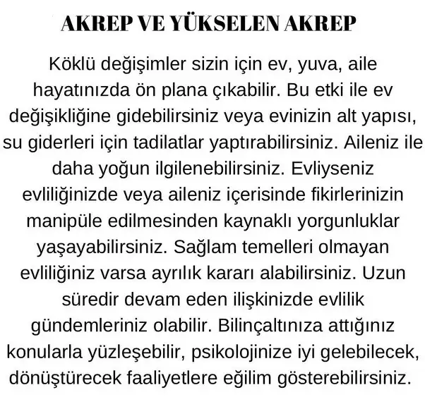 plüton24 (10).webp