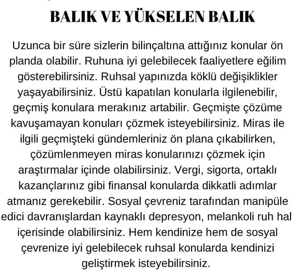 plüton24 (14).webp