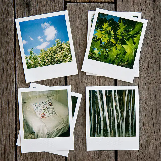 pola-kart-14.webp