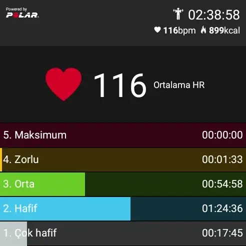 PolarBeat_20180419_113911.webp