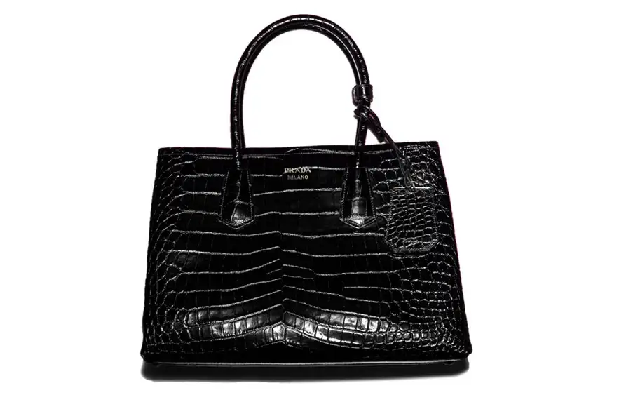 prada_les_30_sacs_stars_de_l_automne_hiver_2014_2015_4230_north_883x.webp