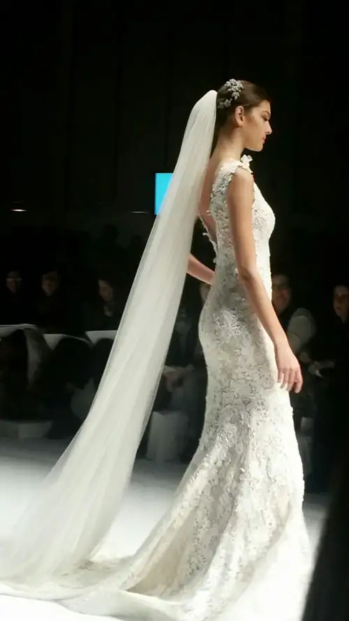 Pronovias-anteprima-collezione-2016-abiti-sposa11.webp