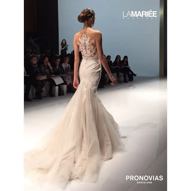 Pronovias-anteprima-collezione-2016-abiti-sposa12.webp