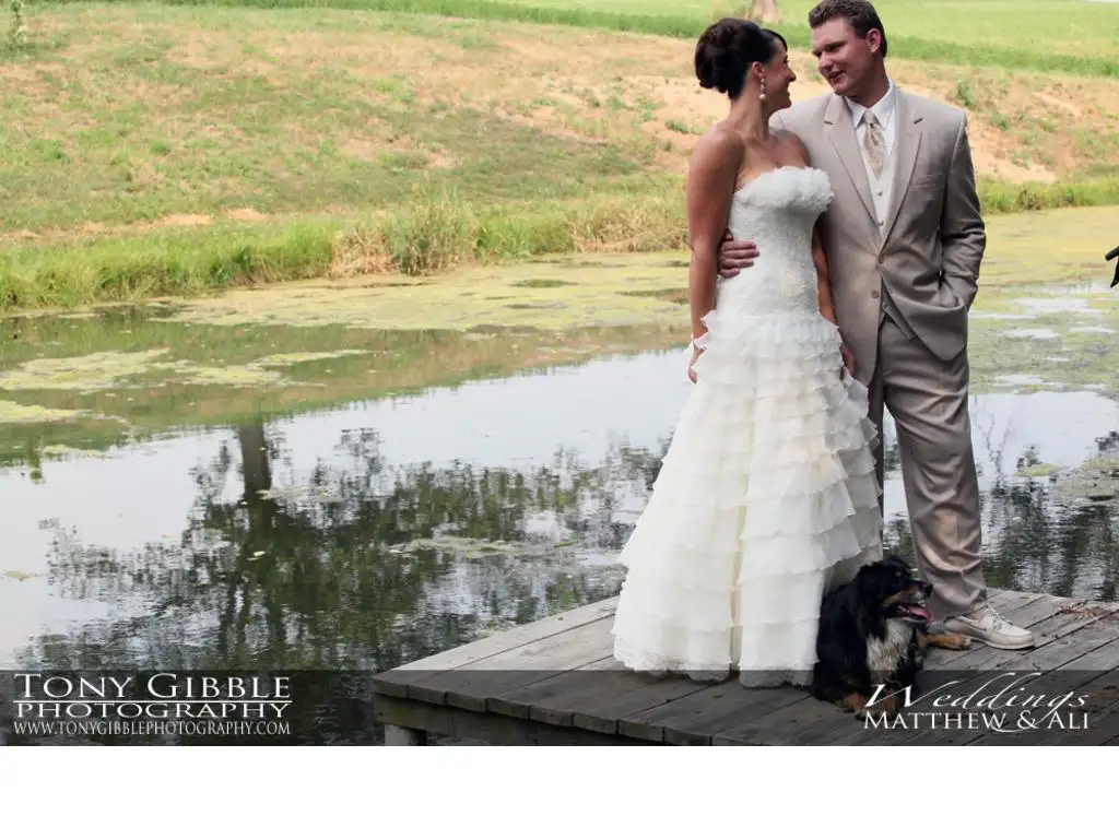 Pronovias-Ball-Gown-Rebeca-Ivory-2010-2.webp