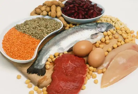 protein.webp