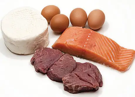 proteins1.webp
