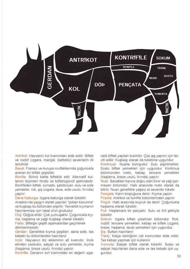 publication-53.webp
