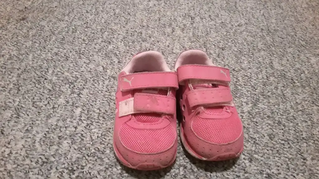 PUMA 2.webp