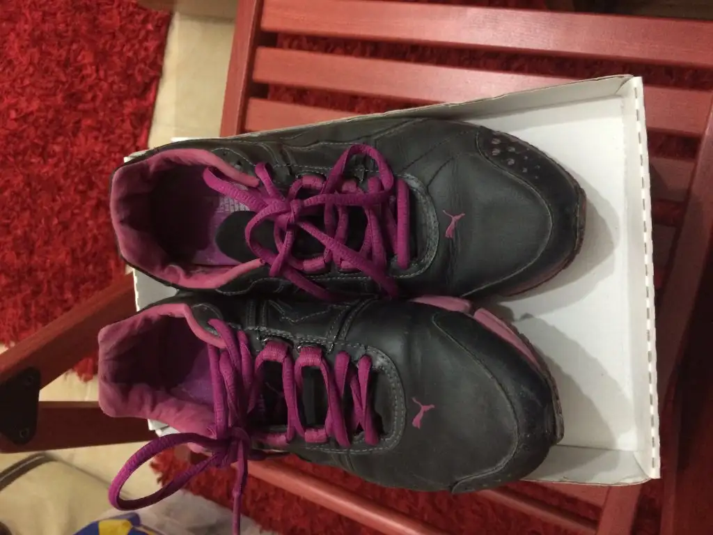 PUMA.webp