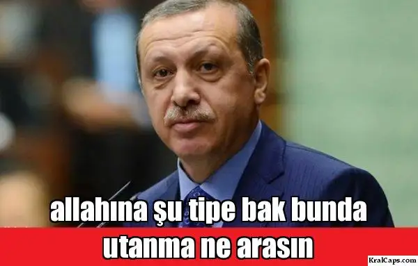 q0kozx.webp