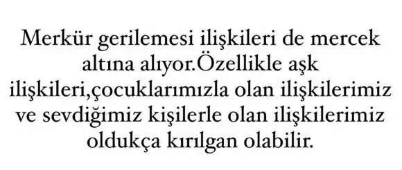 r11 (3).webp