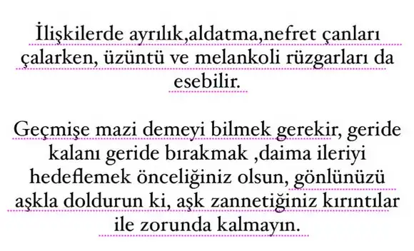 r11 (6).webp