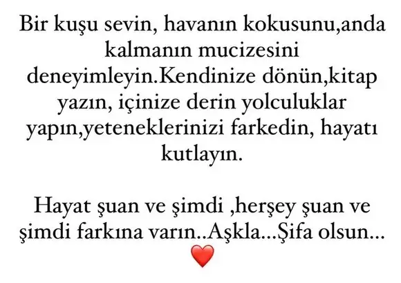 r11 (7).webp