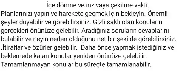 r13 (6).webp