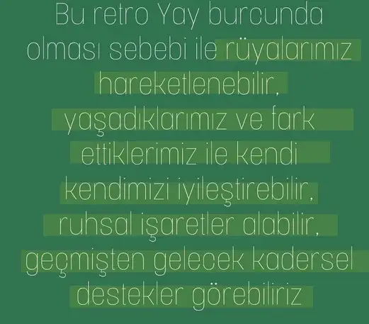 r14 (3).webp