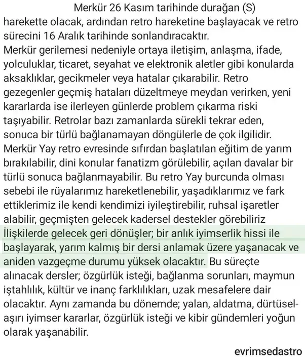 r14 (4).webp