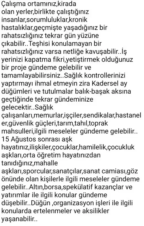 r16 (4).webp
