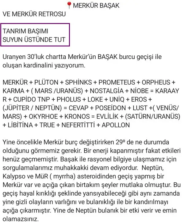 r5 (2).webp